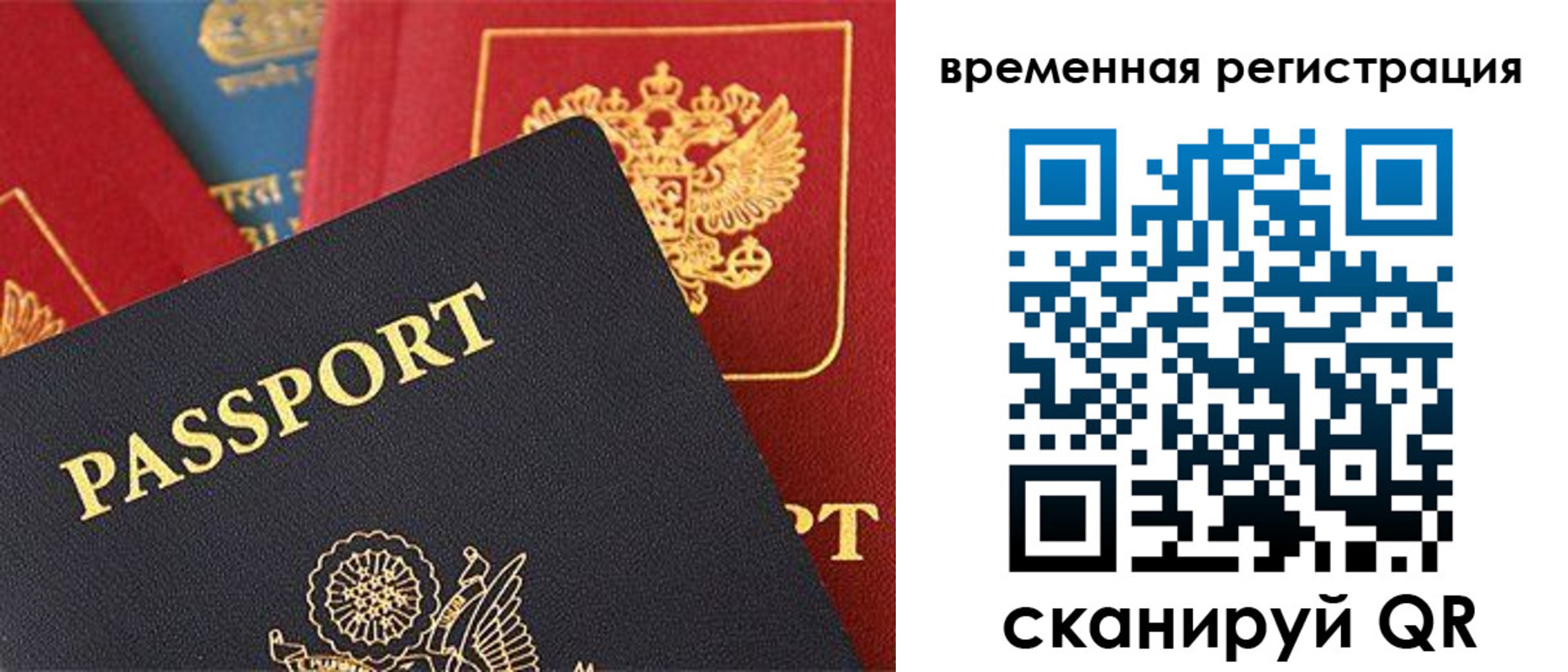 временная регистрация гарантия в Дубовке